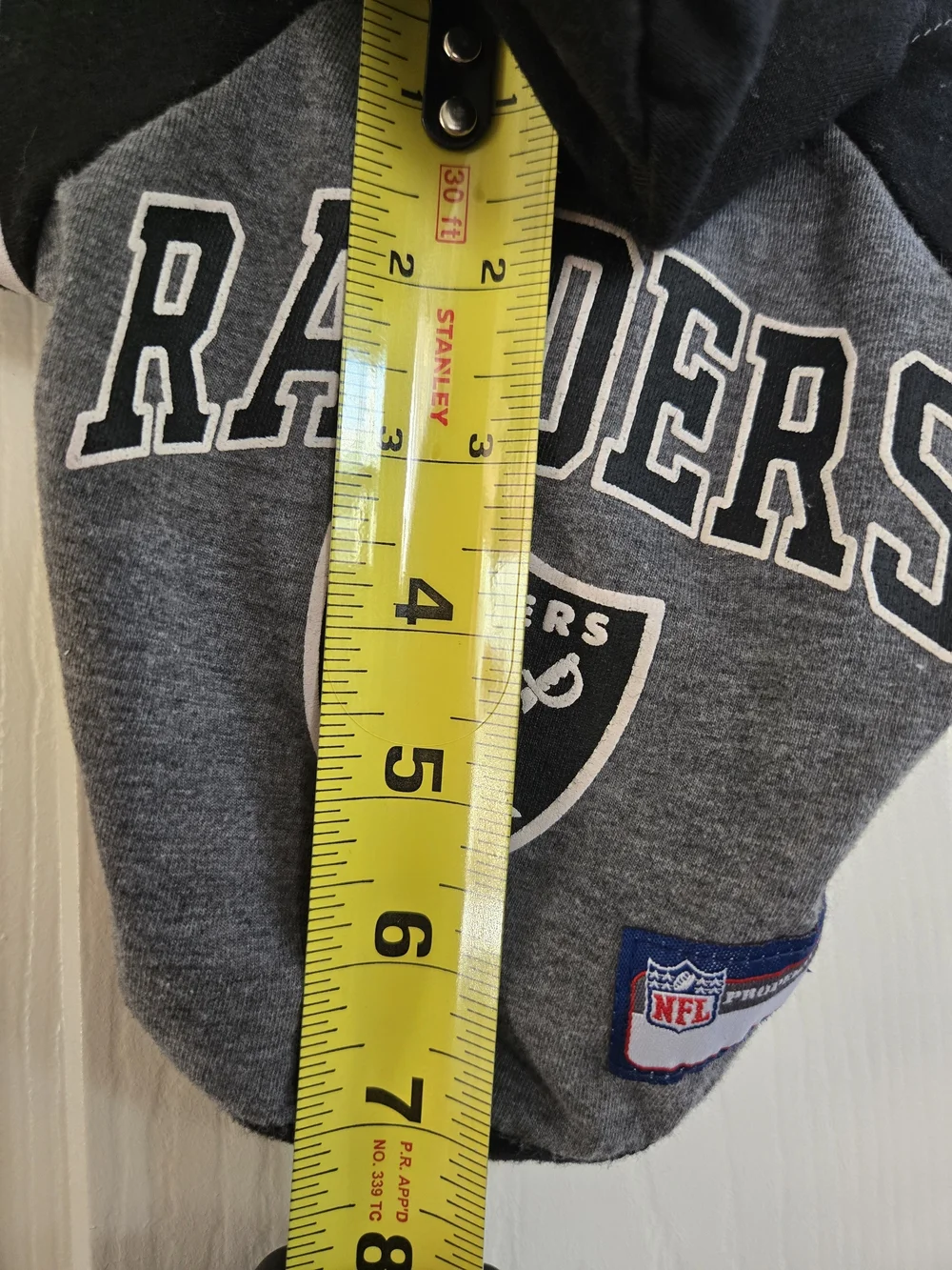 NFL Gray and Black Raiders Pet Tee